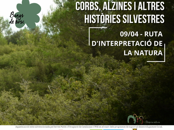 Banys de bosc – Corbs, alzines i altres històries silvestres