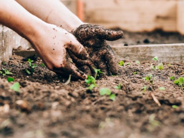 JUGATECA DEL PARC NOU: ARRELA'T ALS PARCS-FEM DE JARDINERS