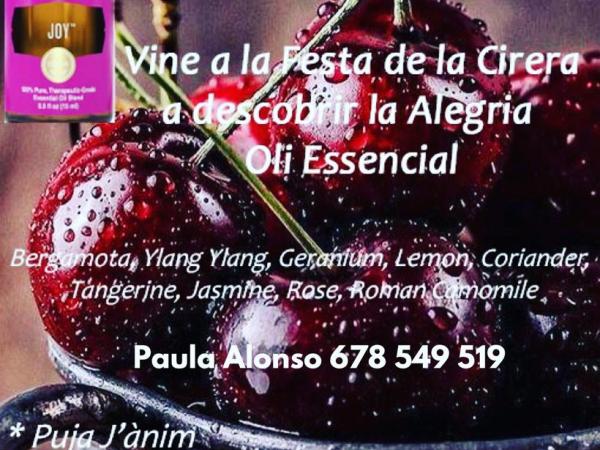 Fira Olis cirera.jpeg