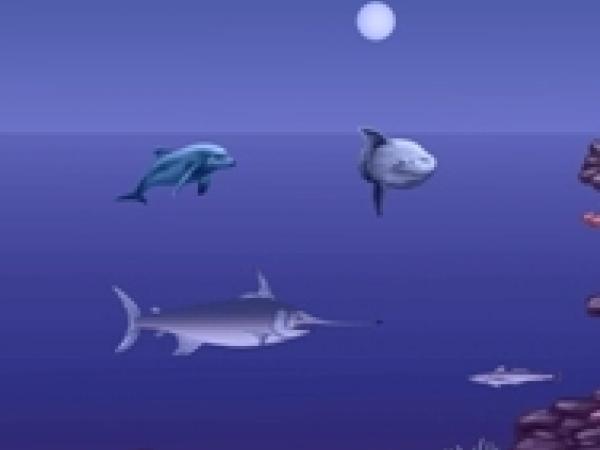 FONS DEL MAR - copia agenda tallat.jpg