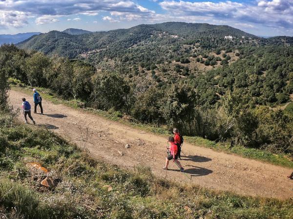 Tast de marxa nòrdica