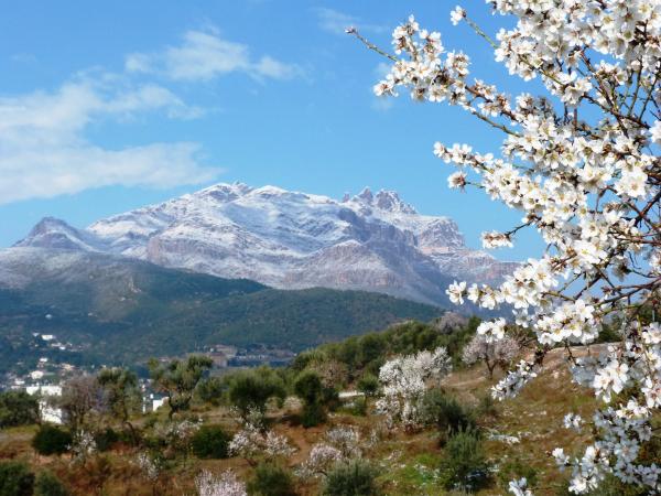 Foto Olesa neu-2.JPG