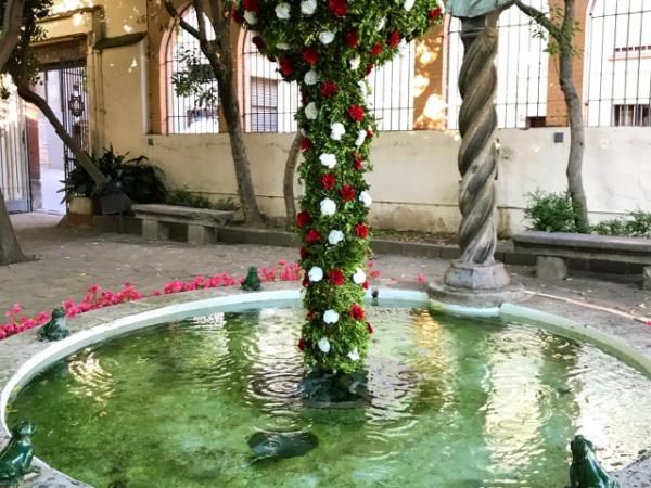 Ou com Balla al jardí de L'Enrajolada. Maig 2008