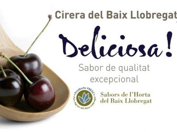 Foto portada Especial Cireres4.jpg