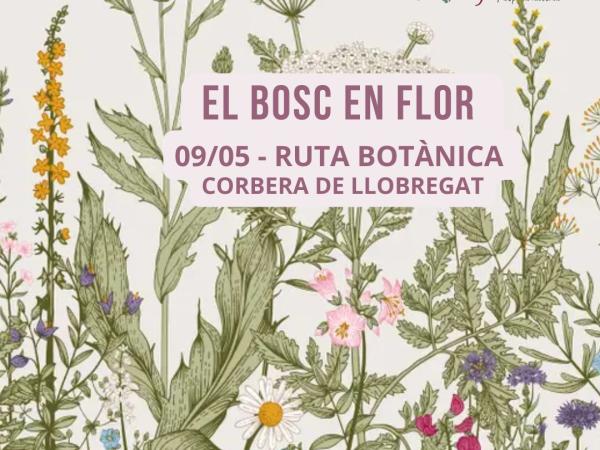 El bosc en flor
