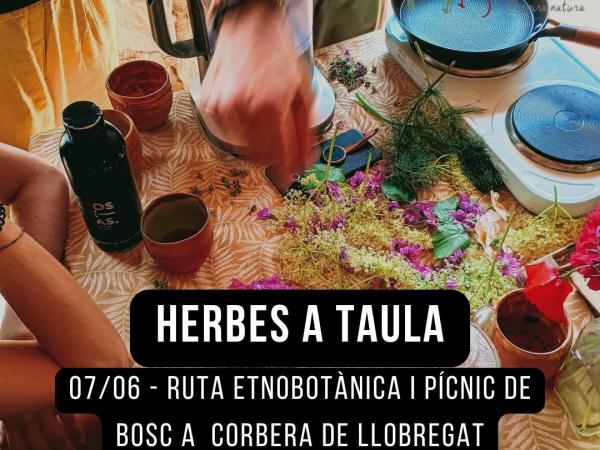Herbes a Taula