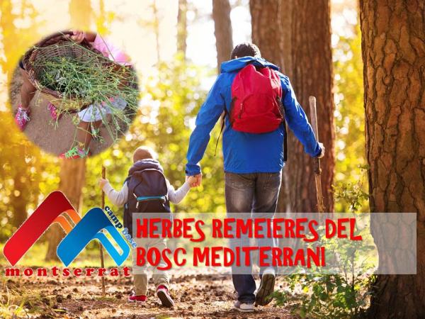 HERBES REMEIERES.jpg