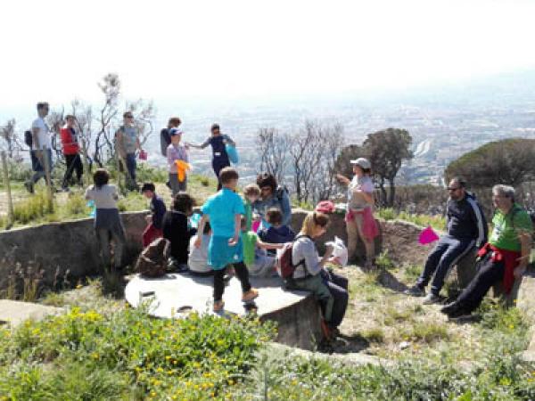 Les històries de Sant Pere Màrtir