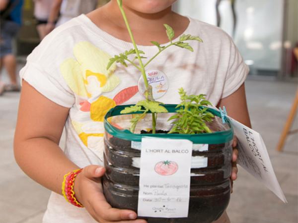 Taller de fruites i hortalisses al centre comercial Splau
