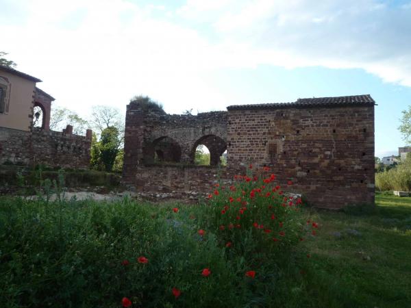 ID 19522-min-min.jpg