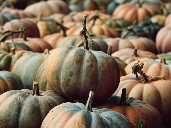 Menú Castanyada i Tots Sants