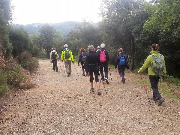 MARCHA NORDICA Y SALUD