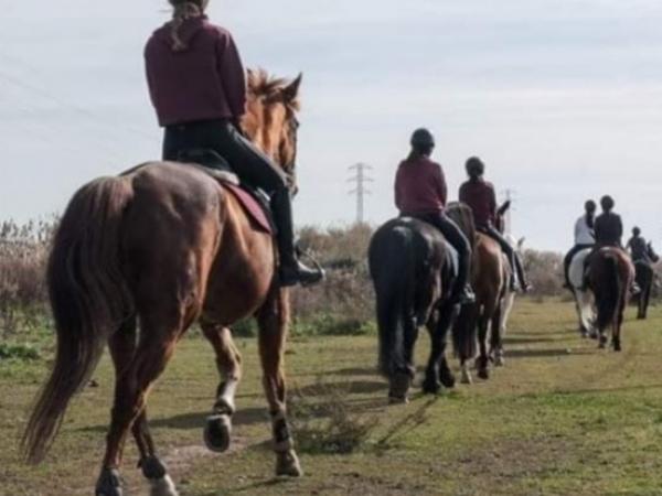 Passejada amb cavall per la zona dels Reguerons