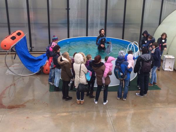 Activitat per a tots els públics (a partir de 6 anys)