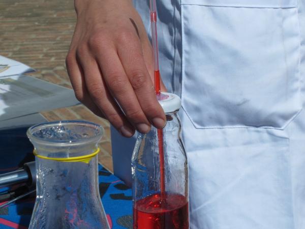 IMG_1957-copia- baixa.jpg