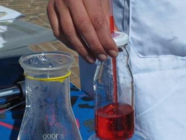 IMG_1957-copia retallada-compri.jpg