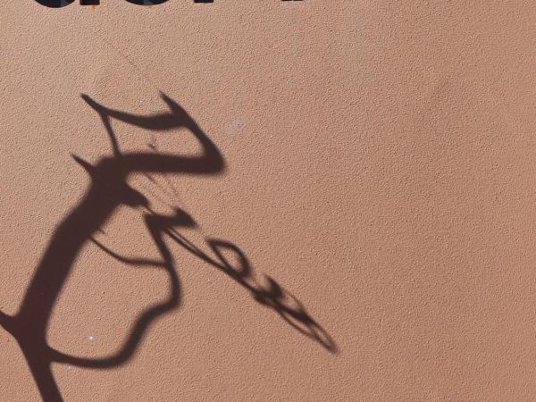 Exposició d'obres pintades amb vi i fotografia "Passejant per la Ruta del Vi del Penedès – 25 anys de vinyes i camins"