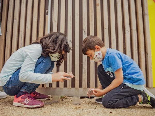 Jugateca: cens d'insectes