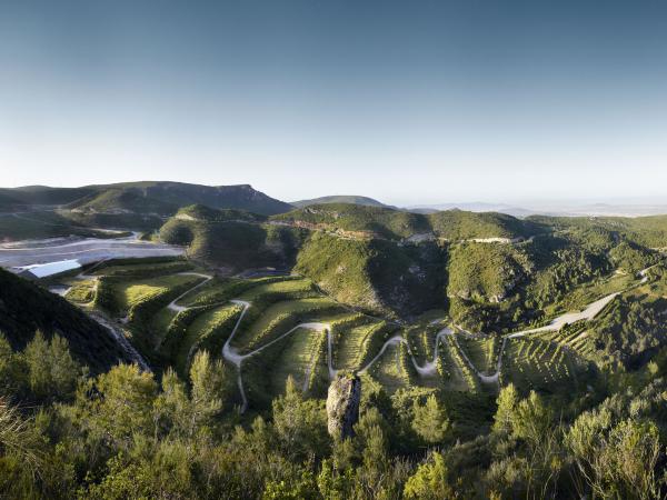 J.Surroca_Vall d'n Joan_ Begues_.jpg