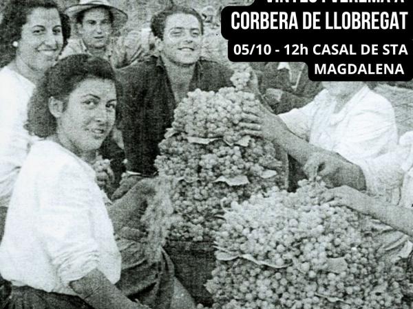 El món agrícola del segle XIX: oficis, vinyes i verema a Corbera de Llobregat