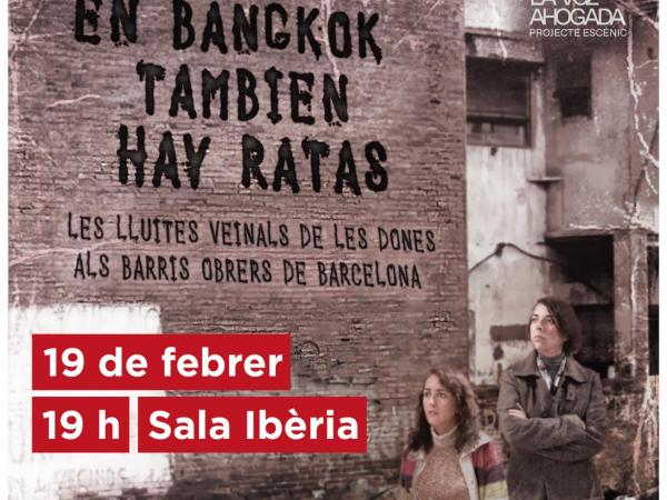 En Bangkok también hay ratas