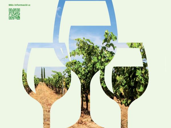 la vinya i el vi.jpg