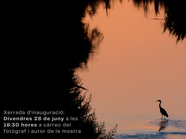 Exposició fotogràfica "Llobregat, natura amagada"