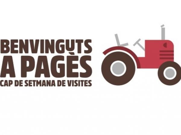 Logo BaP horitzontal_2 TRACTOR AMB DATA.jpg