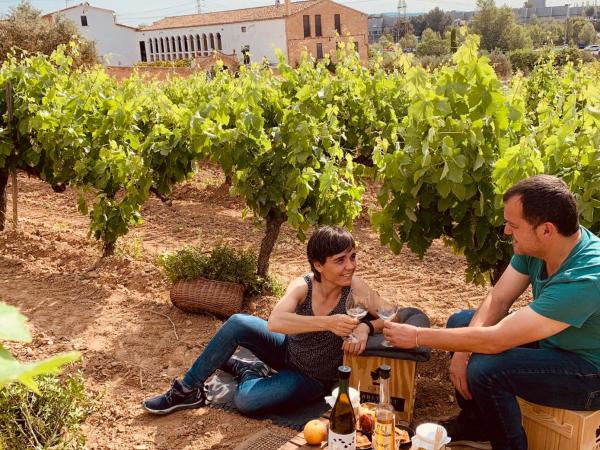Pícnic entre vinyes