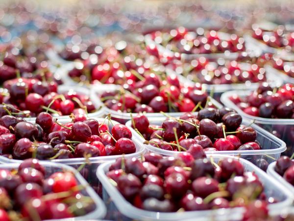 mercats cireres -1433525_1920.jpg