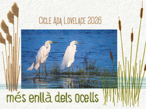 Cicle Ada Lovelace 2026: més enllà dels ocells