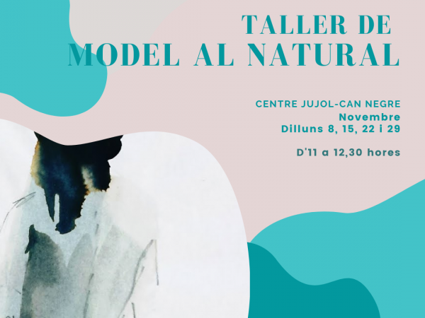 Curs de model al natural