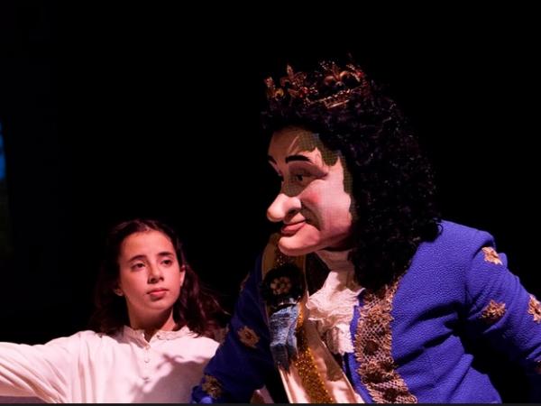 Teatre Familiar: Mozartland