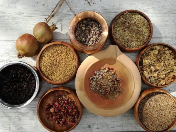 Taller de Santa Llúcia: Antídot contra la peste: triaga