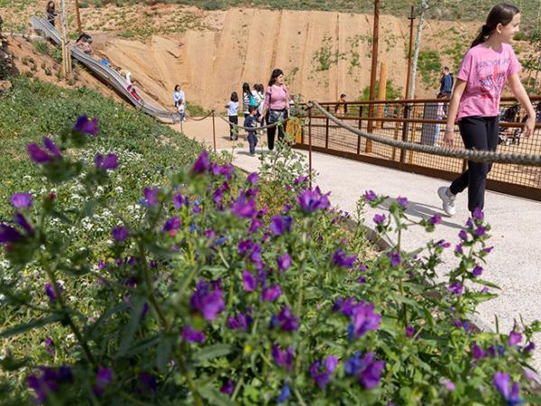 Taller "Moda ecològica: tenyim amb tints naturals"