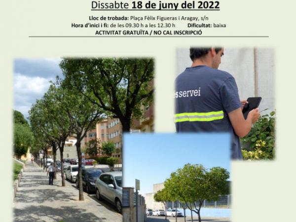 Vols conèixer el verd urbà de les places i carrers d'Olesa?