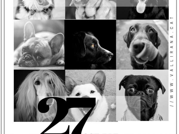 Passejada Guiada amb Gossos Octubre.jpg