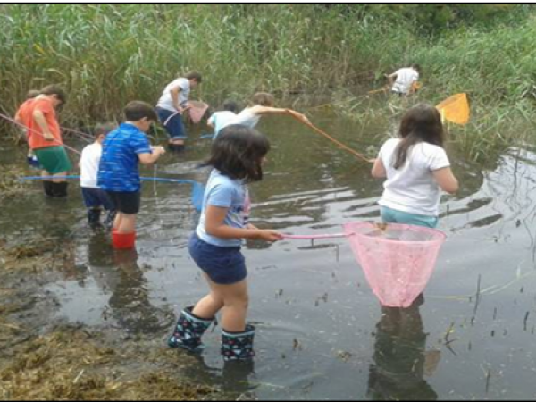 Amb els peus a l'aigua
