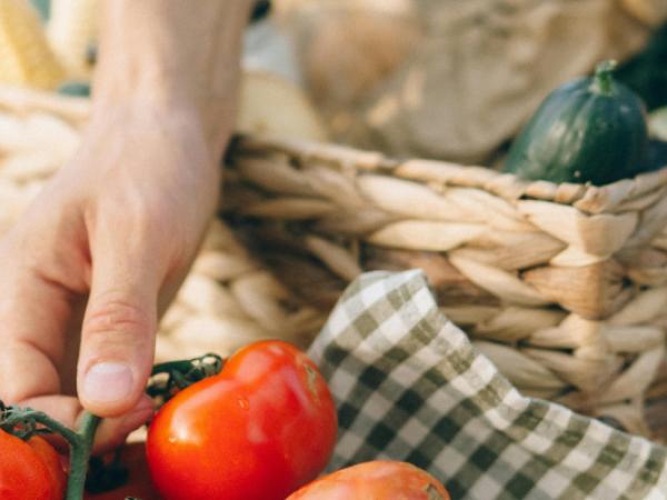 Jugateca del parc Nou: El bon consumidor, sostenible i saludable