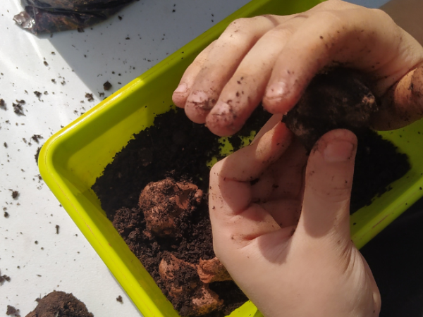 Setmana de la Natura: Taller de llavors