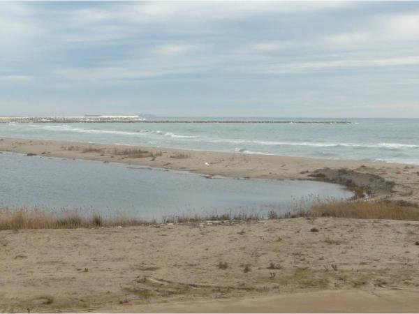 Netegem la platja de Ca l’Arana