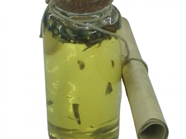 Taller d’olis amb plantes remeieres