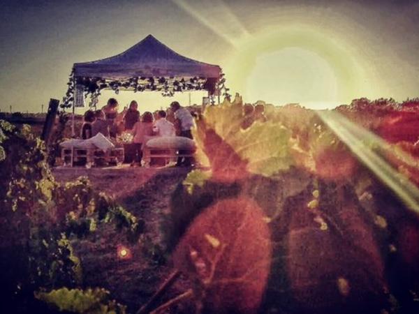 posta de sol ca nestella.jpg