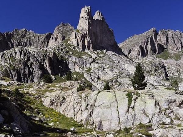 Poster Olesa 15 juliol2.jpg