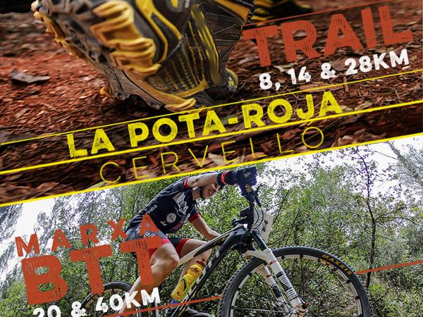 WTS LA POTA-ROJA CERVELLÓ 2017