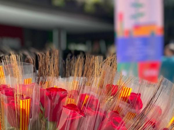 Sant Jordi a l'Splau