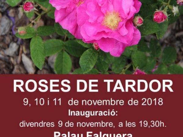 Roses de Tardor 2018.JPG