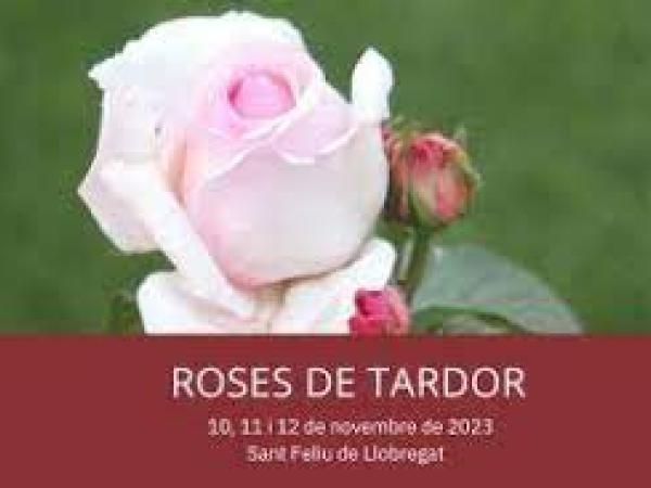 Roses de Tardor 2019