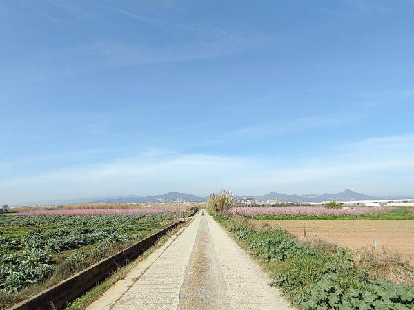 Ruta Carxofera Codis QR.jpg