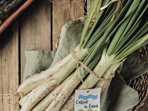 Ruta del Calçot de Gavà